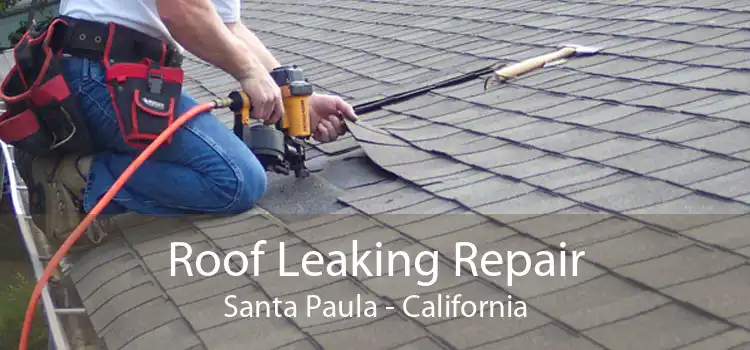 Roof Leaking Repair Santa Paula - California