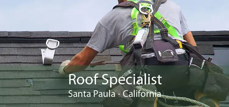 Roof Specialist Santa Paula - California