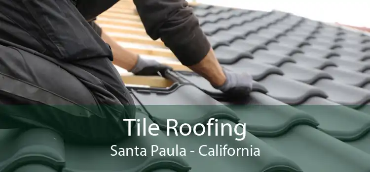 Tile Roofing Santa Paula - California